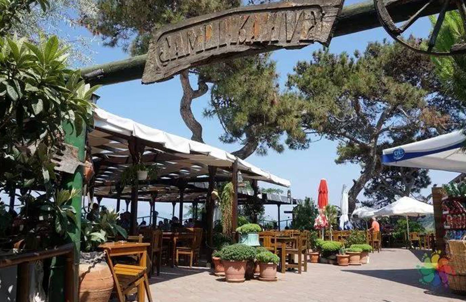 Çamlı Kahve Tarihi Çamlı Kahve Tirilye / Mudanya