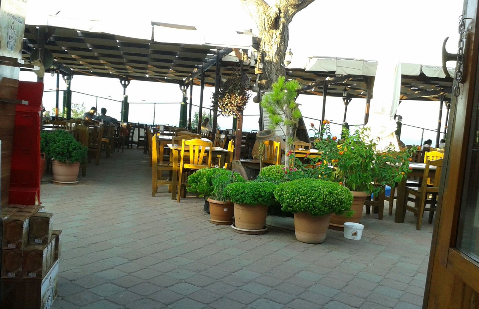 Çamlı Kahve Tarihi Çamlı Kahve Tirilye / Mudanya